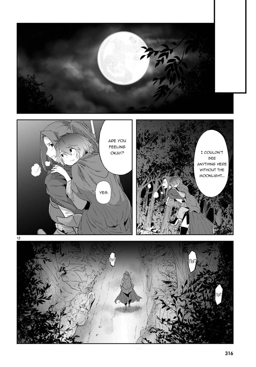 Illusion page 12